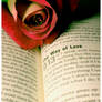 The Way of Love