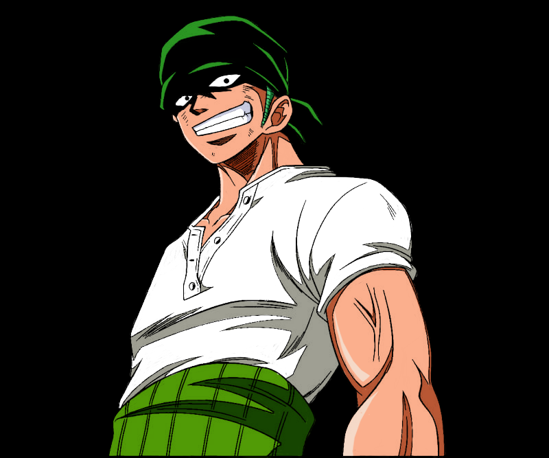 Zoro Pfp (10th) by JustZem on DeviantArt