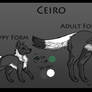 Ceiro Reference