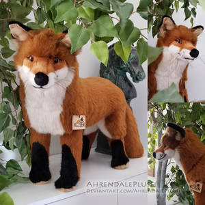 Limited Edition Kosen Fox