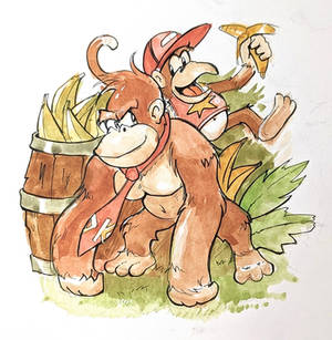 Donkey Kong Country