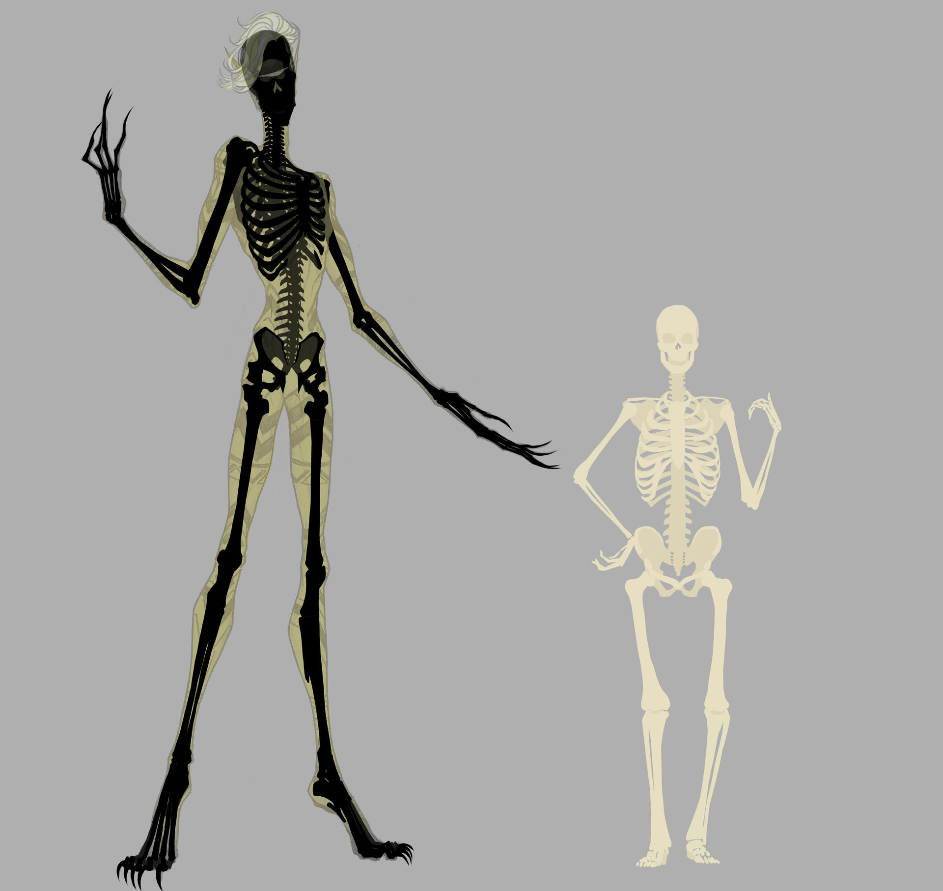 Skeleton Rrfrence CR Reference: Skeleton with human comparison by LadyoftheGeneral on ...