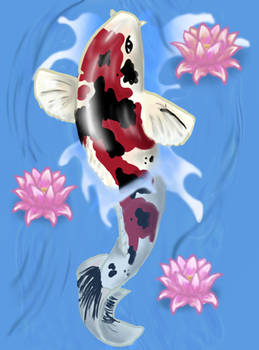 Koi aka: my Goldfish