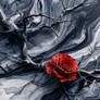 Scarlet In The Stone
