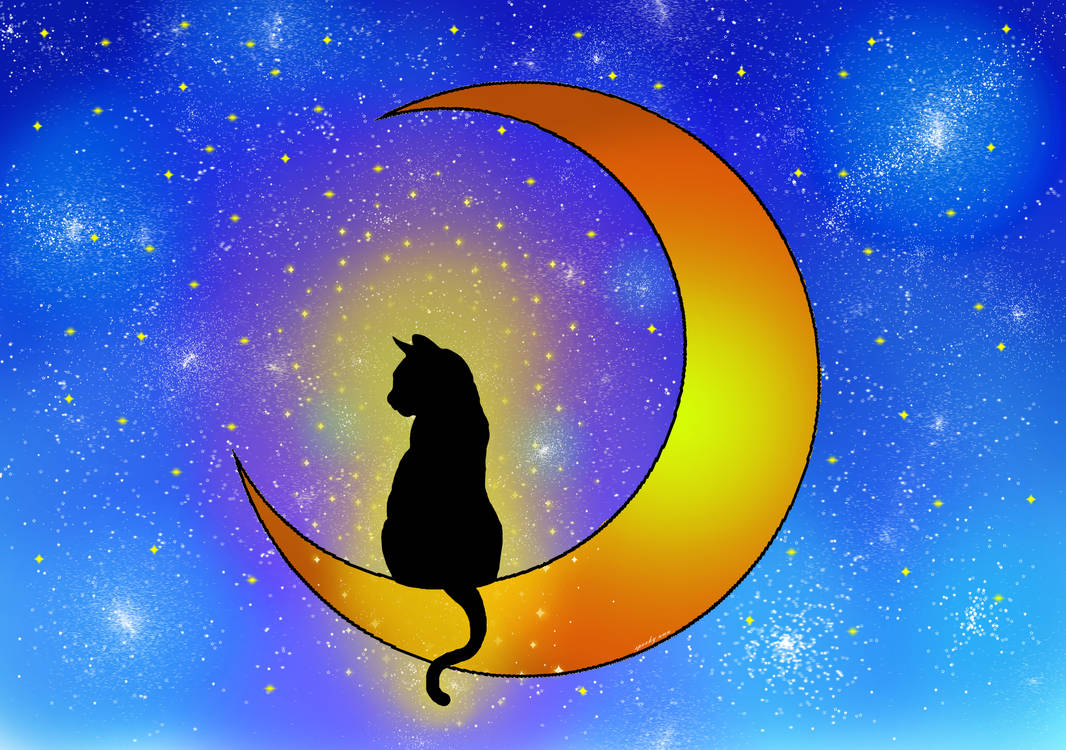 Luna's Sad Cat Dance by FireOctoSean on DeviantArt