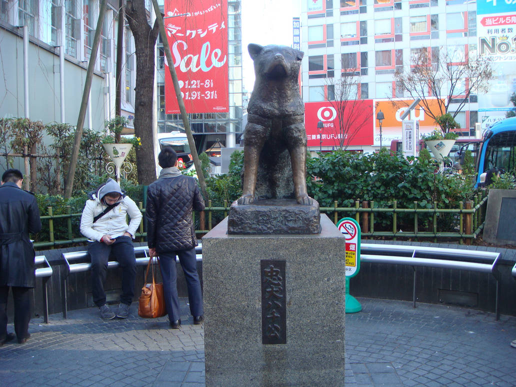 Хатико в каком городе. Железнодорожная станция Сибуя памятник Хатико. Хатико статуя в Японии на станции Сибуя. Памятник Хатико в Токио. Станция Сибуя Япония Хатико.