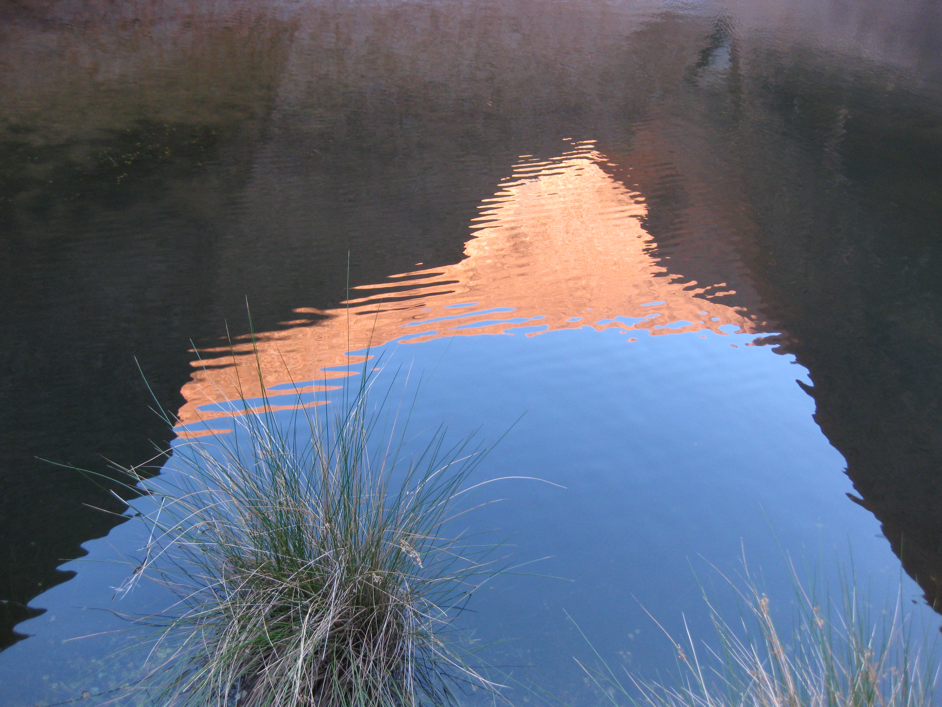 reflections of the desert