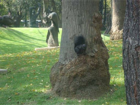 fotografia de una ardilla