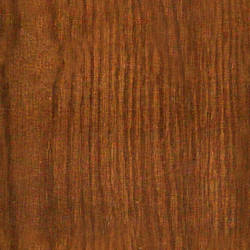 Wood Texture