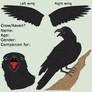 ~Crow and Raven Ref Lineart~