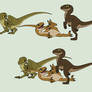 Dinosaur Base 1~Velociraptor 1~