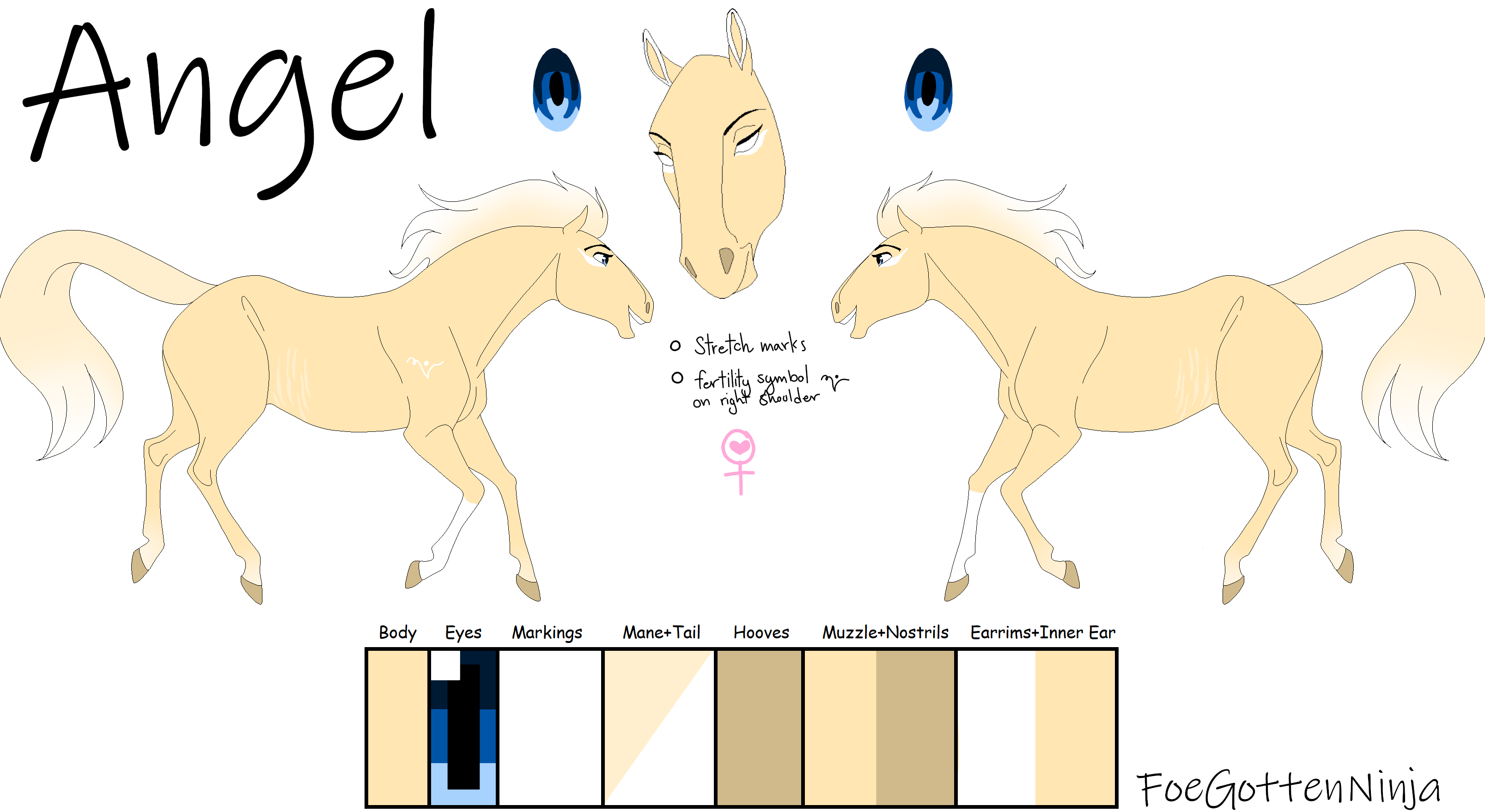 Angel Ref sheet by FoeGottenNinja on DeviantArt