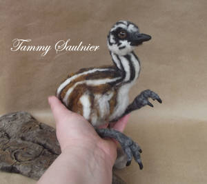 Pose-able Needle felted Emu Chick