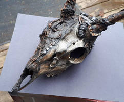 reconstructed Skull scuplt