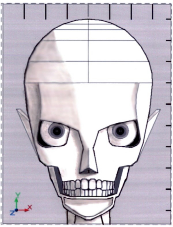 Designing a Skull