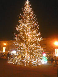 Christmas Tree in Hunedoara