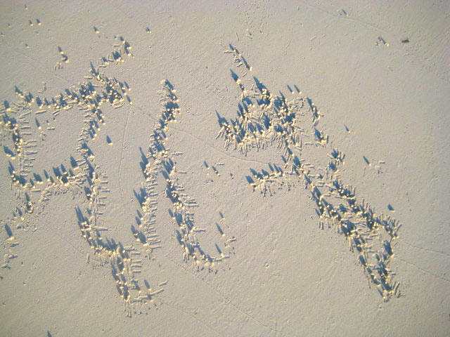 Cryptic Message by seethrume23 on DeviantArt