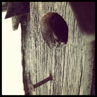 Little Bird house