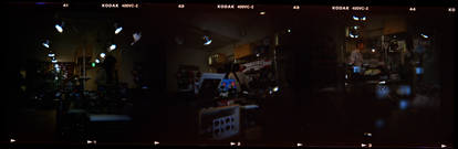 First Holga Shots