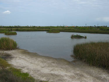 Lake at Botanical Gardens