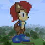 Sally in Minecraft