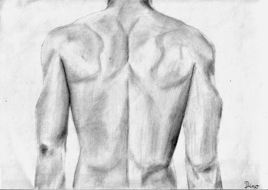 Male Back Texture Male back by AgentBurn on DeviantArt