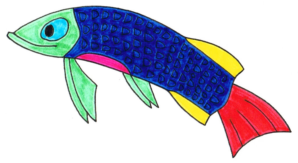 Freshwater Fish by Genie-Dragon on DeviantArt