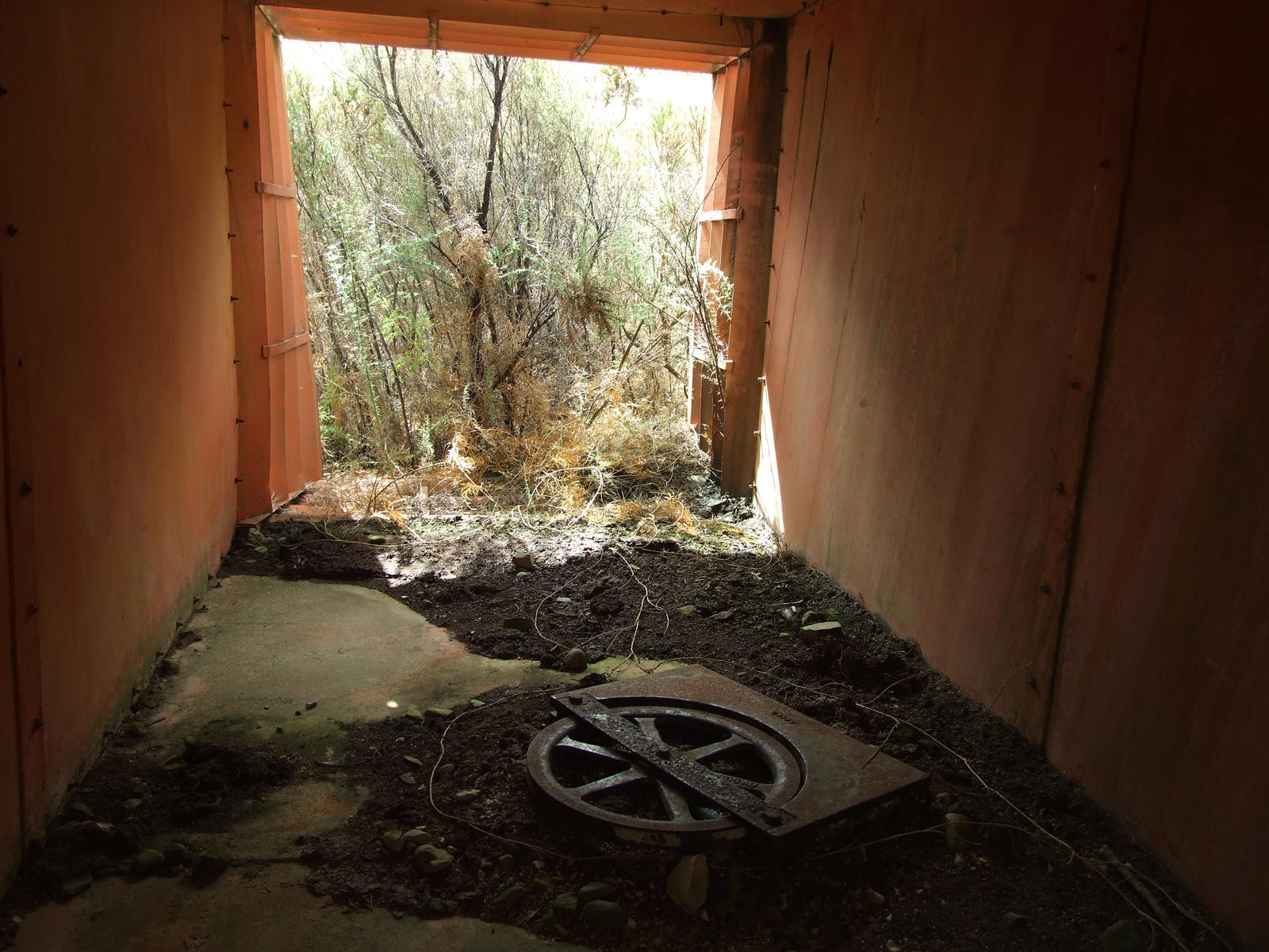 Abandoned structure, Kaitoke