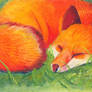 Foxy Nap v1