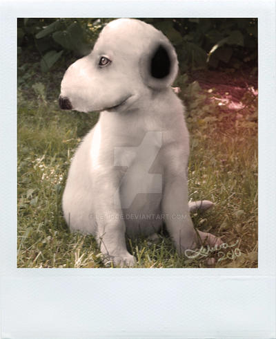 Real Life Snoopy By Leticce On Deviantart