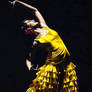 UnMomento Intenso del Flamenco