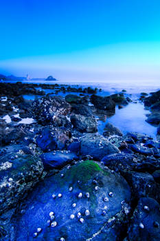 Al Aqqa Beach, Fujeirah, United arab Emirates