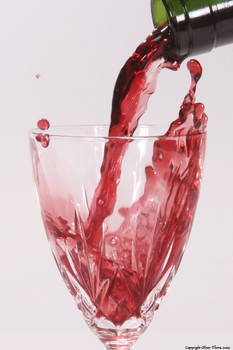 Wine Splash