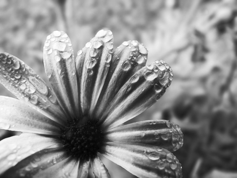 colorless drops by CinderRainfall on DeviantArt