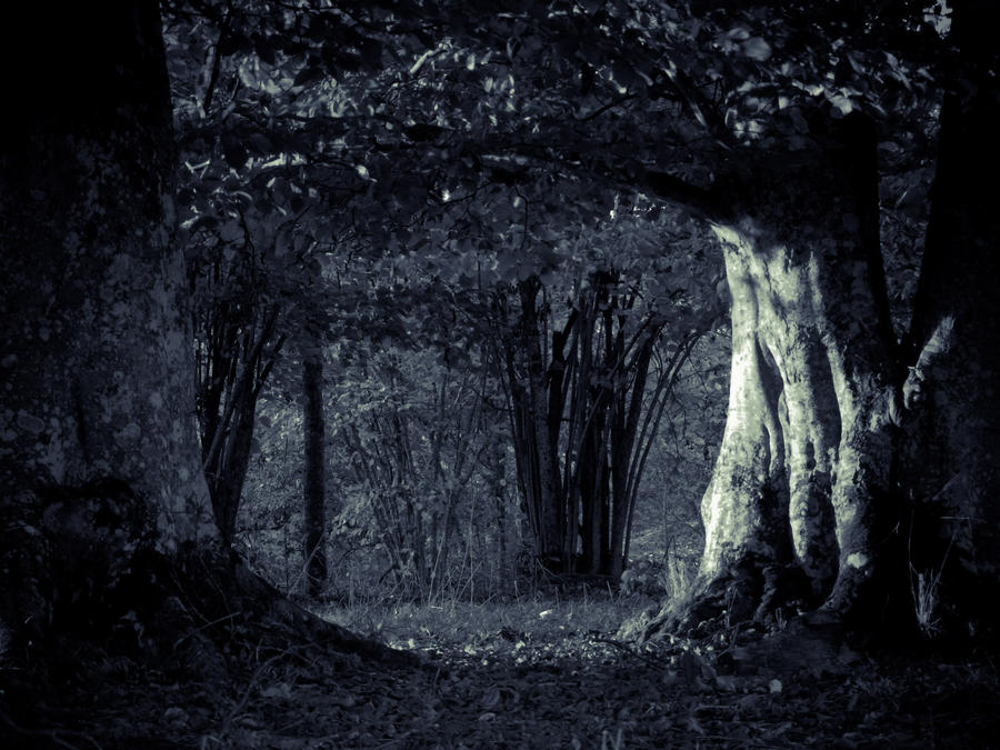 fantasy tree by CinderRainfall on DeviantArt