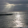 Carlsbad Beach During Sunset