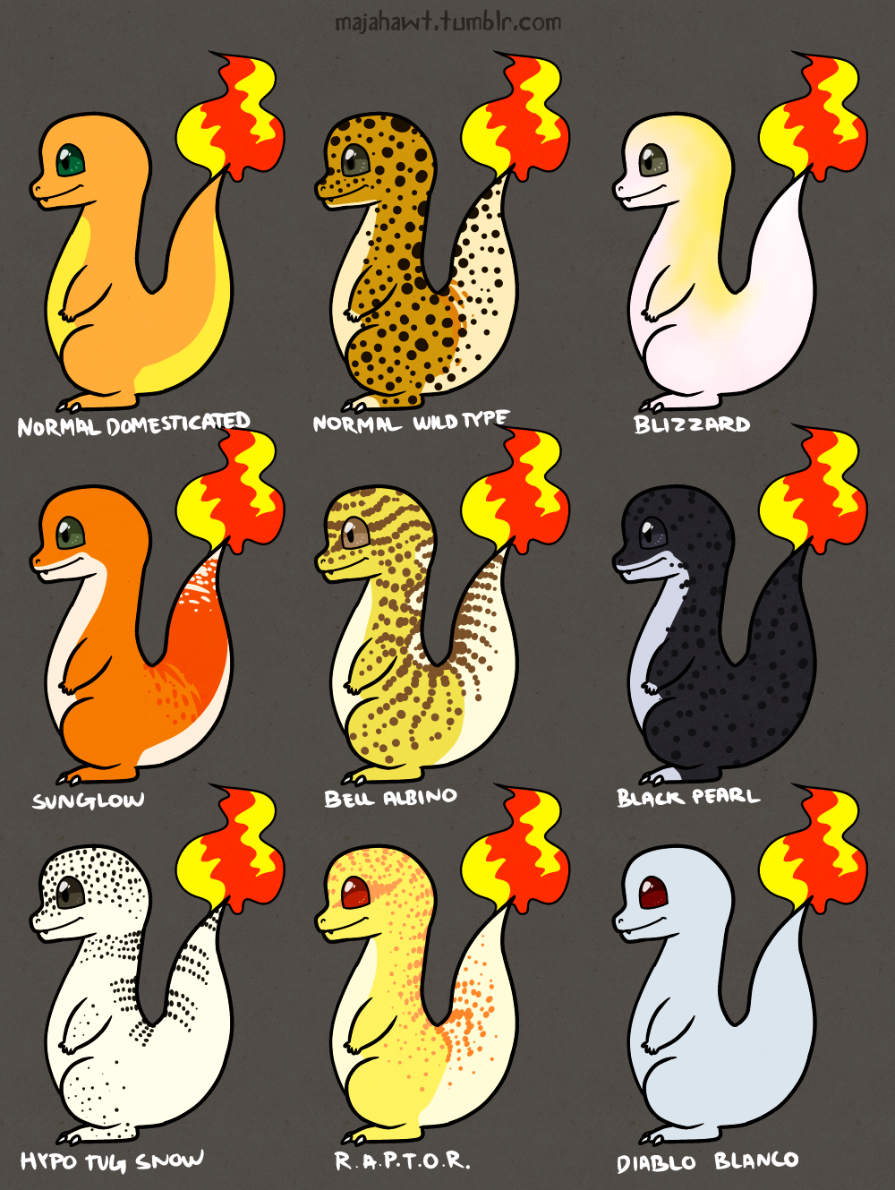 Leopard Gecko Morphs Chart