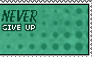 Never Give Up