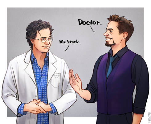 Dr.Banner Mr.Stark