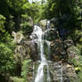 Waterfall Gully