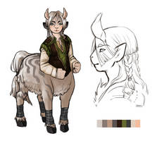 DnD Character, Snow (Botw inspired)