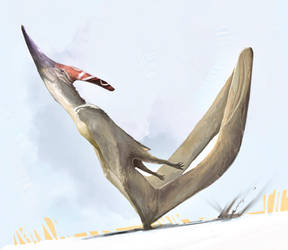 Pteranodon