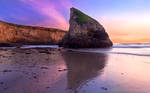 Shark Fin Cove by MattGranzPhotography