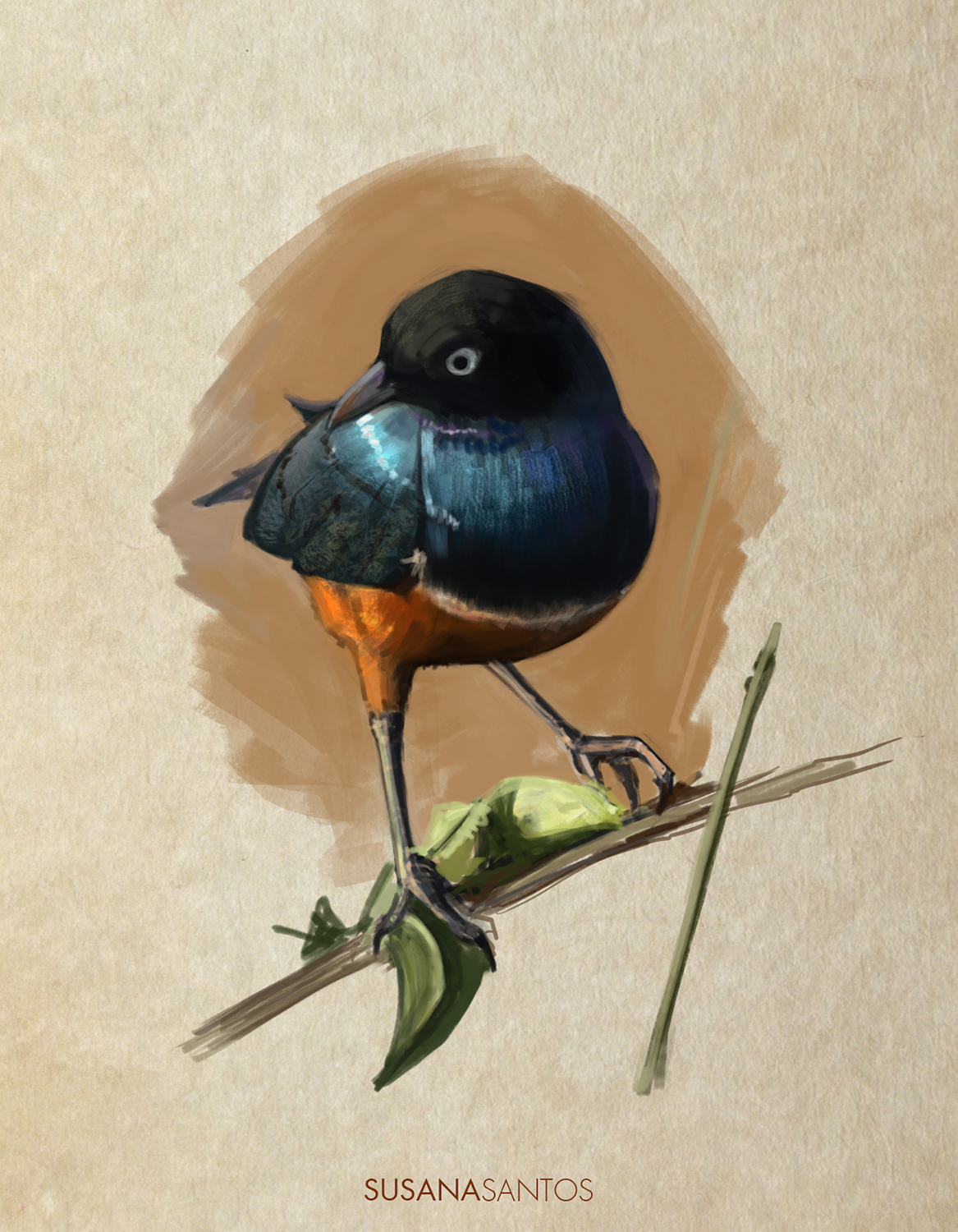 Bird - Painting Study