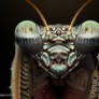 Praying Mantis Study