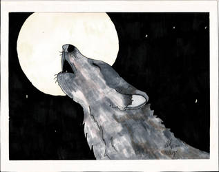 Wolf Moon