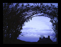 Silhouette Arch