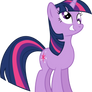 A bunch of crazy ponies ...