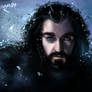 Thorin Oakenshield