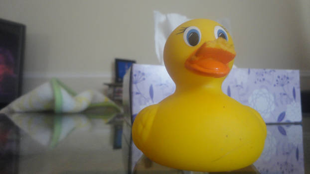 rubberduckie